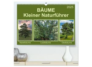 9783435101528 - Bäume Kleiner Naturführer (hochwertiger Premium Wandkalender 2025 DIN A2 quer) Kunstdruck in Hochglanz