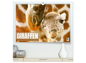 9783435101573 - Giraffen die afrikanischen Tiere mit Weitblick (hochwertiger Premium Wandkalender 2025 DIN A2 quer) Kunstdruck in Hochglanz