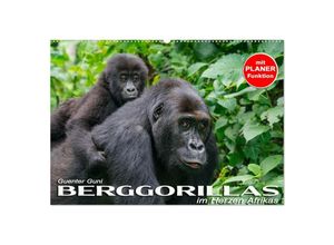 9783435118854 - Berggorillas im Herzen Afrikas (Wandkalender 2025 DIN A2 quer) CALVENDO Monatskalender