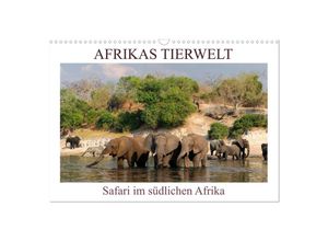 9783435118915 - Afrikas Tierwelt Safari im südlichen Afrika (Wandkalender 2025 DIN A3 quer) CALVENDO Monatskalender