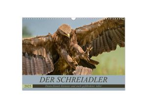 9783435119042 - Der Schreiadler (Clanga pomarina) - Deutschands kleinster und stark gefährdeter Adler (Wandkalender 2025 DIN A3 quer) CALVENDO Monatskalender