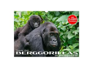 9783435119073 - Berggorillas im Herzen Afrikas (Wandkalender 2025 DIN A3 quer) CALVENDO Monatskalender