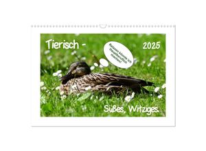 9783435119141 - Tierisch - Süßes Witziges (Wandkalender 2025 DIN A3 quer) CALVENDO Monatskalender