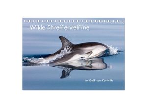 9783435120444 - Wilde Streifendelfine im Golf von Korinth (Tischkalender 2025 DIN A5 quer) CALVENDO Monatskalender