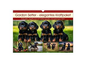 9783435120536 - Gordon Setter - elegantes Kraftpaket (Wandkalender 2025 DIN A3 quer) CALVENDO Monatskalender 9783435120536 - Gordon Setter - elegantes Kraftpaket (Wandkalender 2025 DIN A3 quer) CALVENDO Monatskalender
