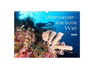9783435120628 - Unterwasser - eine bunte Welt (Wandkalender 2025 DIN A3 quer) CALVENDO Monatskalender