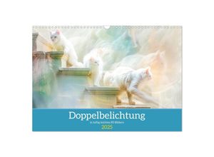 9783435120864 - Doppelbelichtung in luftig leichten KI-Bildern (Wandkalender 2025 DIN A3 quer) CALVENDO Monatskalender