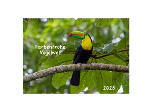 9783435122530 - Farbenfrohe Vogelwelt (Wandkalender 2025 DIN A2 quer) CALVENDO Monatskalender