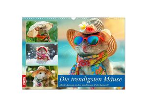 9783435122677 - Die trendigsten Mäuse Mode-Saison in der niedlichen Pelzchenwelt (Wandkalender 2025 DIN A3 quer) CALVENDO Monatskalender