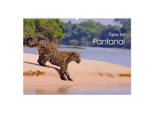 9783435122691 - Tiere im Pantanal - viajech (Wandkalender 2025 DIN A2 quer) CALVENDO Monatskalender