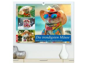 9783435123650 - Die trendigsten Mäuse Mode-Saison in der niedlichen Pelzchenwelt (hochwertiger Premium Wandkalender 2025 DIN A2 quer) Kunstdruck in Hochglanz