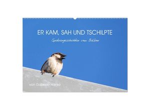 9783435123988 - Er kam sah und tschilpte - Spatzengeschichten vom Balkon (Wandkalender 2025 DIN A2 quer) CALVENDO Monatskalender