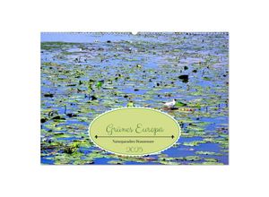 9783435125555 - Grünes Europa - Naturparadies Drausensee (Wandkalender 2025 DIN A2 quer) CALVENDO Monatskalender