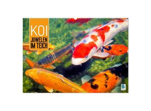 9783435128860 - Koi Juwelen im Teich (Wandkalender 2025 DIN A2 quer) CALVENDO Monatskalender