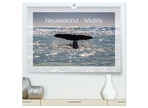 9783435129539 - Neuseeland - Wildlife (hochwertiger Premium Wandkalender 2025 DIN A2 quer) Kunstdruck in Hochglanz