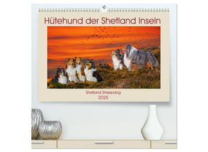 9783435129805 - Hütehund der Shetland Inseln - Shetland Sheepdog (hochwertiger Premium Wandkalender 2025 DIN A2 quer) Kunstdruck in Hochglanz