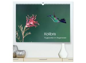 9783435130238 - Kolibris - Flugkünstler im Regenwald (hochwertiger Premium Wandkalender 2025 DIN A2 quer) Kunstdruck in Hochglanz