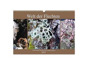 9783435130481 - Welt der Flechten (Wandkalender 2025 DIN A3 quer) CALVENDO Monatskalender