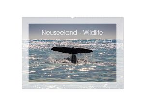 9783435130702 - Neuseeland - Wildlife (Wandkalender 2025 DIN A2 quer) CALVENDO Monatskalender