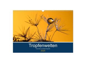 9783435133284 - Tropfenwelten  Faszination der Makrofotografie (Wandkalender 2025 DIN A3 quer) CALVENDO Monatskalender