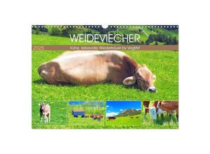 9783435133291 - Weideviecher Kühe liebevolle Wiederkäuer (Wandkalender 2025 DIN A3 quer) CALVENDO Monatskalender