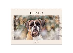 9783435133819 - Boxer Photo&Kunst (Wandkalender 2025 DIN A2 quer) CALVENDO Monatskalender