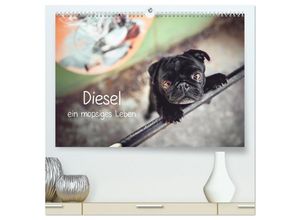 9783435135783 - Diesel - ein mopsiges Leben (hochwertiger Premium Wandkalender 2025 DIN A2 quer) Kunstdruck in Hochglanz