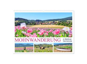 9783435136063 - Mohnwanderung in Meißner-Germerode (Wandkalender 2025 DIN A2 quer) CALVENDO Monatskalender