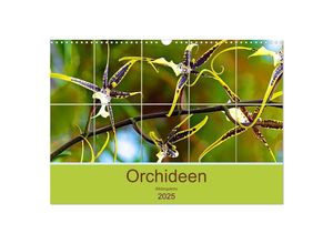 9783435136117 - Orchideen Bildergalerie (Wandkalender 2025 DIN A3 quer) CALVENDO Monatskalender