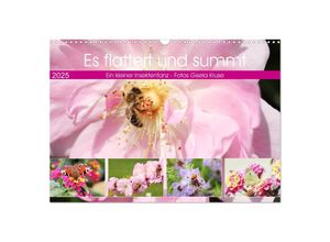 9783435136124 - Es flattert und summt Ein kleiner Insektentanz (Wandkalender 2025 DIN A3 quer) CALVENDO Monatskalender