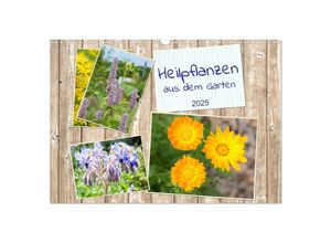 9783435136155 - Heilpflanzen aus dem Garten (Wandkalender 2025 DIN A3 quer) CALVENDO Monatskalender