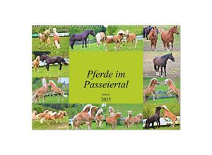 9783435136179 - Pferde im Passeiertal (Wandkalender 2025 DIN A2 quer) CALVENDO Monatskalender