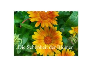 9783435136285 - Die Schönheit der Blumen (Wandkalender 2025 DIN A3 quer) CALVENDO Monatskalender