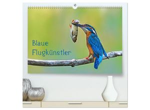 9783435136551 - Blaue Flugkünstler (hochwertiger Premium Wandkalender 2025 DIN A2 quer) Kunstdruck in Hochglanz