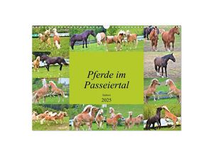 9783435136780 - Pferde im Passeiertal (Wandkalender 2025 DIN A3 quer) CALVENDO Monatskalender