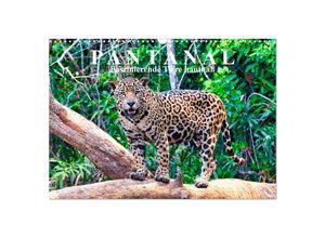 9783435138869 - Pantanal Faszinierende Tiere hautnah (Wandkalender 2025 DIN A3 quer) CALVENDO Monatskalender