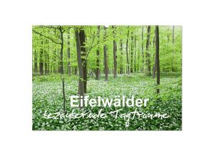 9783435139460 - Eifelwälder - bezaubernde Tagträume (Wandkalender 2025 DIN A2 quer) CALVENDO Monatskalender