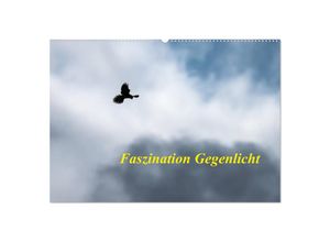 9783435139699 - Faszination Gegenlicht (Wandkalender 2025 DIN A2 quer) CALVENDO Monatskalender