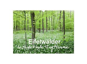 9783435139781 - Eifelwälder - bezaubernde Tagträume (Wandkalender 2025 DIN A3 quer) CALVENDO Monatskalender