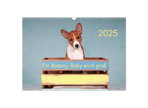 9783435142323 - Ein Basenji Baby wird groß (Wandkalender 2025 DIN A3 quer) CALVENDO Monatskalender