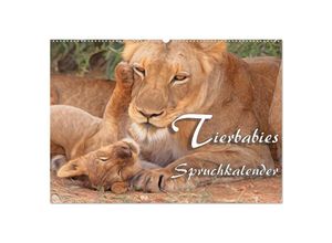 9783435142347 - Tierbabies - Spruchkalender (Wandkalender 2025 DIN A2 quer) CALVENDO Monatskalender