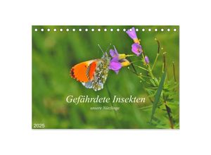 9783435143368 - Gefährdete Insekten - unsere Nützlinge (Tischkalender 2025 DIN A5 quer) CALVENDO Monatskalender