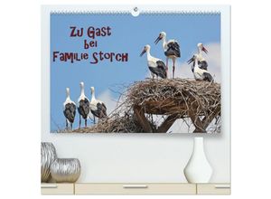 9783435143535 - Zu Gast bei Familie Storch (hochwertiger Premium Wandkalender 2025 DIN A2 quer) Kunstdruck in Hochglanz