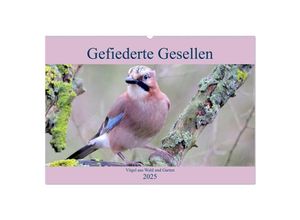 9783435147878 - Gefiederte Gesellen - Vögel aus Wald und Garten (Wandkalender 2025 DIN A2 quer) CALVENDO Monatskalender