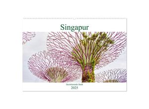 9783435148257 - Singapur - faszinierende Stadt (Wandkalender 2025 DIN A2 quer) CALVENDO Monatskalender