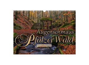 9783435149254 - Augenschmaus Pfälzer Wald (Wandkalender 2025 DIN A3 quer) CALVENDO Monatskalender