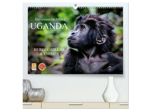 9783435149391 - UGANDA - Berggorillas & Chimps (hochwertiger Premium Wandkalender 2025 DIN A2 quer) Kunstdruck in Hochglanz