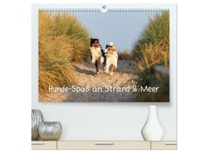 9783435149858 - Hunde-Spaß an Strand & Meer (hochwertiger Premium Wandkalender 2025 DIN A2 quer) Kunstdruck in Hochglanz