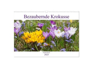 9783435150373 - Bezaubernde Krokusse (Wandkalender 2025 DIN A3 quer) CALVENDO Monatskalender