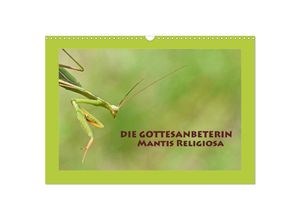 9783435150380 - Die Gottesanbeterin Mantis Religiosa (Wandkalender 2025 DIN A3 quer) CALVENDO Monatskalender